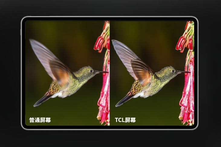 高清、高刷显示